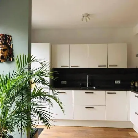 Gezellig, Volledig Ingericht In Apartment Nijmegen