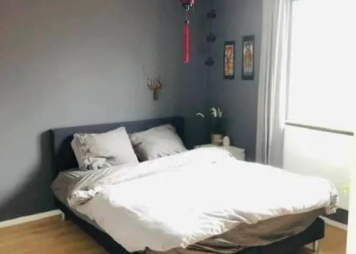 Gezellig, Volledig Ingericht In *